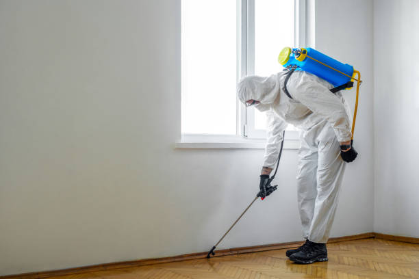 Emergency Pest Control Services in Kingston, NJ